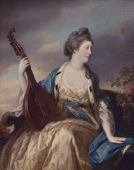 Francis Cotes Alice Countess of Shipbrook china oil painting image